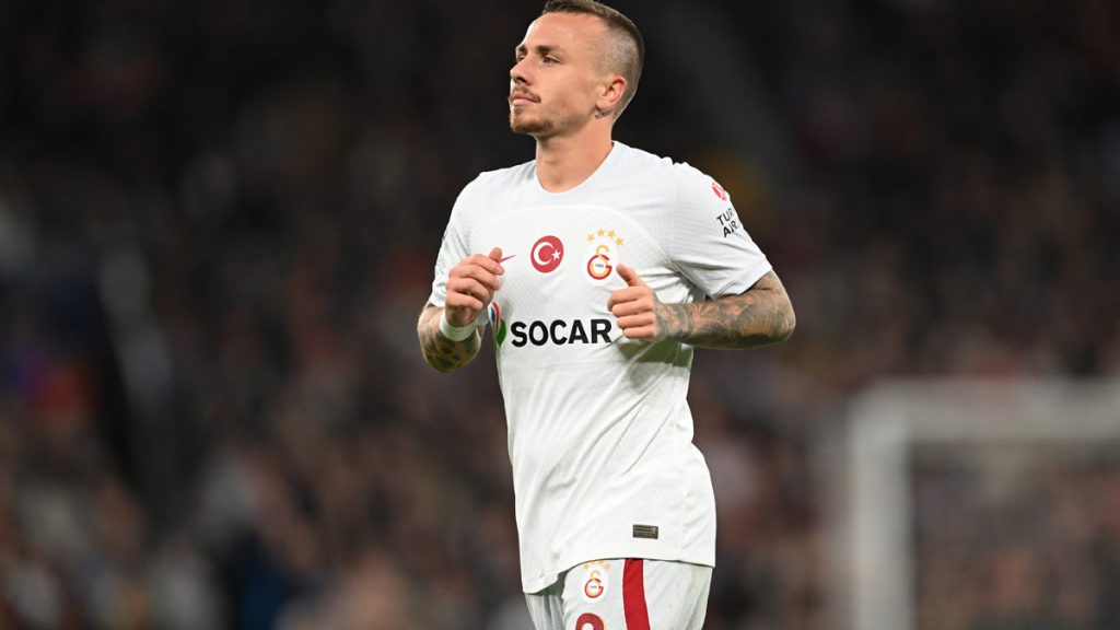 2901-angelino